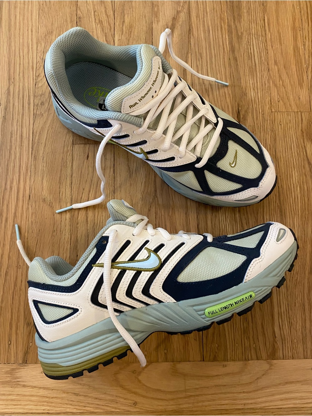 NEW Nike Air Pegasus 2005 mens shoe